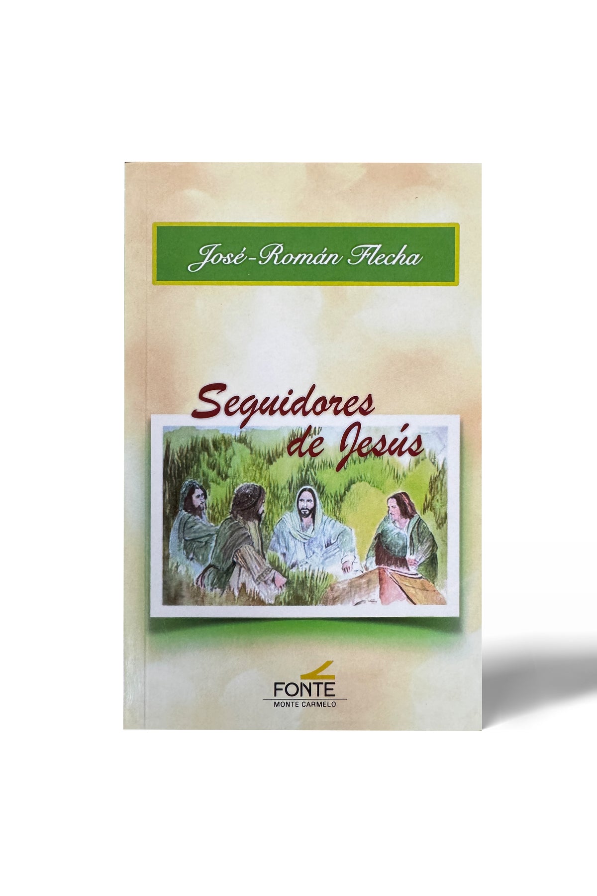 Seguidores de Jesús - P. José-Román Flecha Andrés