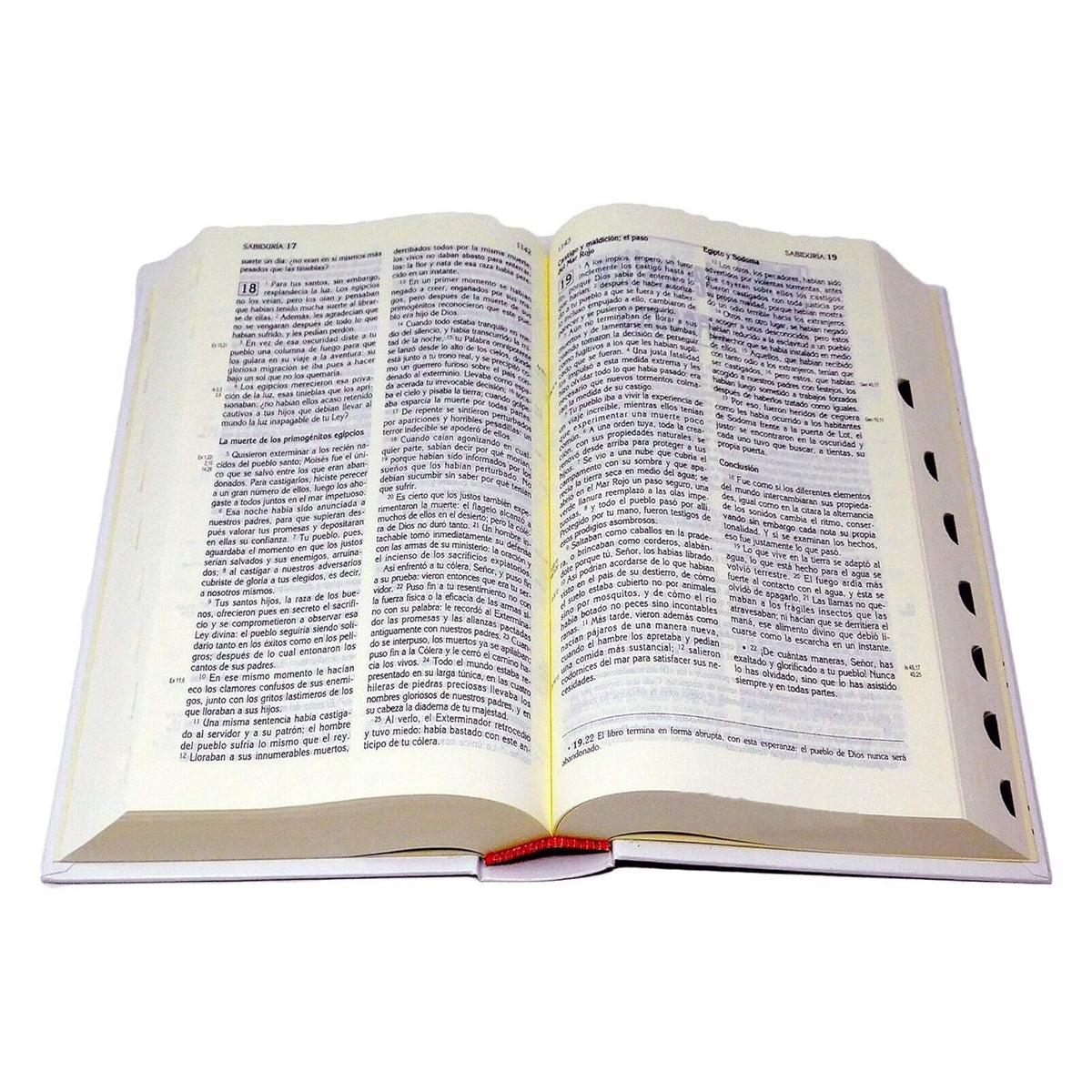 La Biblia Latinoamérica