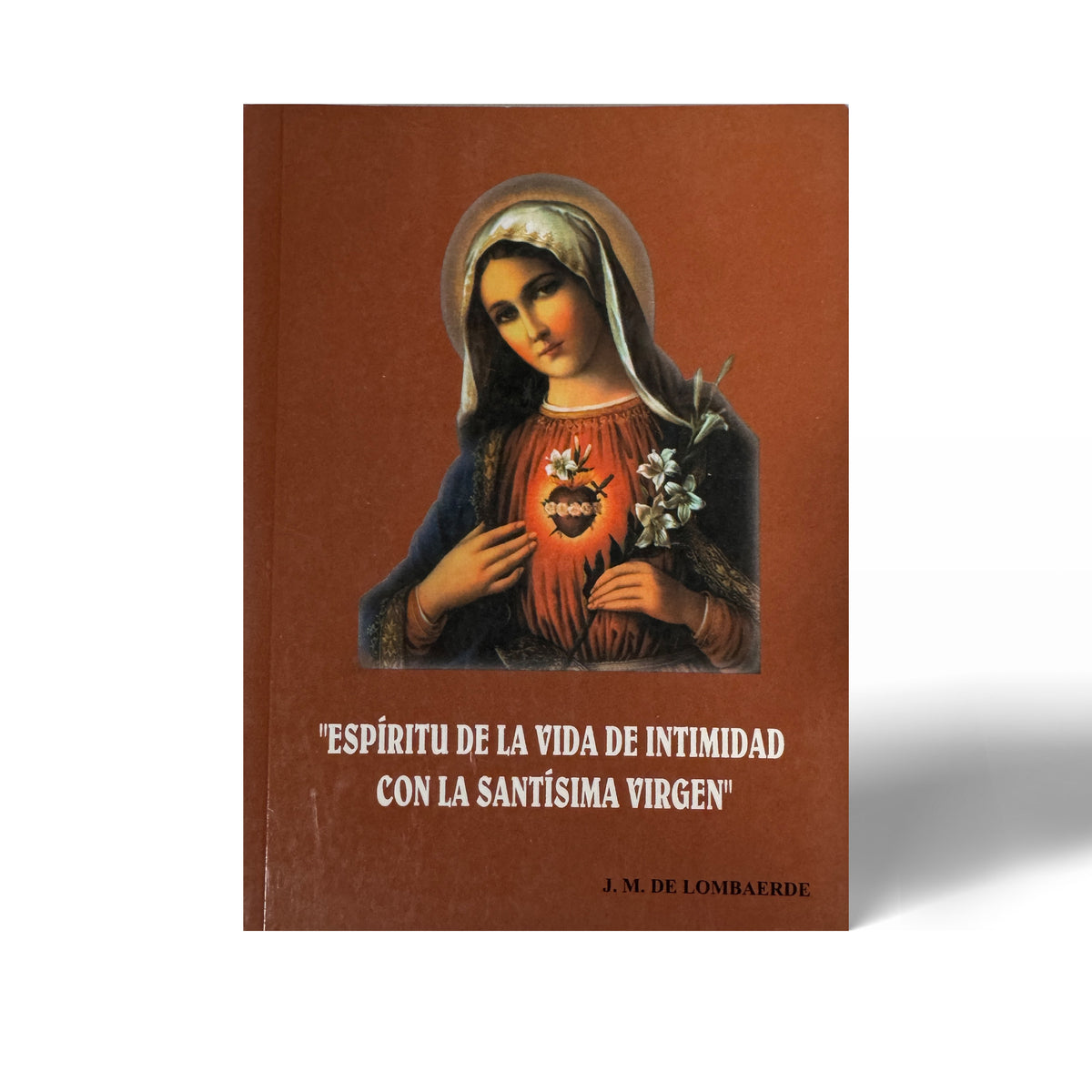 Espíritu de la Vida de Intimidad con la Santísima Virgen María