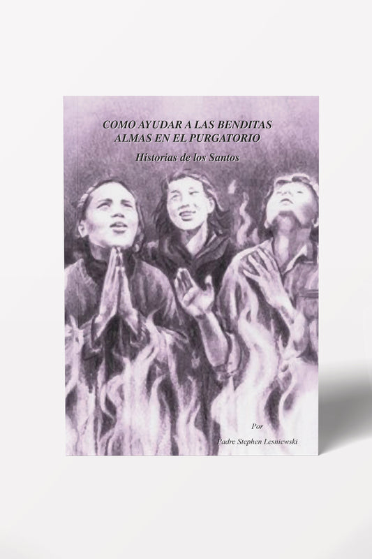 Cómo ayudar a las almas del Purgatorio – Historias de los Santos - Padre Stephen Lesniewski